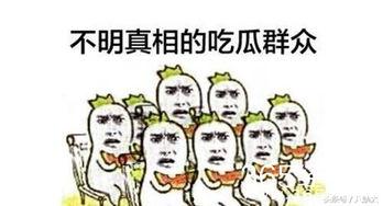 娱乐之星吃瓜群众是谁,揭秘娱乐圈幕后风云