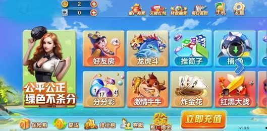 金城娱乐推广正规吗,揭秘其正规性及市场评价